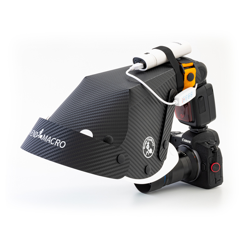 Lampu Fokus Mini 10W untuk Sem - Photography Term ulasan dan harga