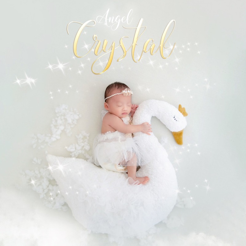 Set Pakaian Renda Angsa untuk  - Photography Outfit ulasan dan harga